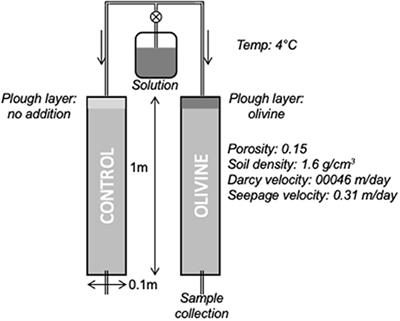 The Dissolution of Olivine Added to Soil at 4°C: Implications for Enhanced Weathering in Cold Regions